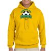 Gildan Adult Heavy Blend™ Hooded Sweatshirt Thumbnail