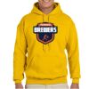 Gildan Adult Heavy Blend™ Hooded Sweatshirt Thumbnail