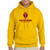 Gildan Adult Heavy Blend™ Hooded Sweatshirt Thumbnail