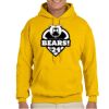 Gildan Adult Heavy Blend™ Hooded Sweatshirt Thumbnail