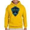 Gildan Adult Heavy Blend™ Hooded Sweatshirt Thumbnail