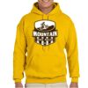 Gildan Adult Heavy Blend™ Hooded Sweatshirt Thumbnail