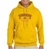 Gildan Adult Heavy Blend™ Hooded Sweatshirt Thumbnail