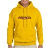 Gildan Adult Heavy Blend™ Hooded Sweatshirt Thumbnail