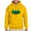 Gildan Adult Heavy Blend™ Hooded Sweatshirt Thumbnail