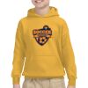 Youth Heavy Blend™ Hooded Sweatshirt Thumbnail