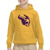 Youth Heavy Blend™ Hooded Sweatshirt Thumbnail