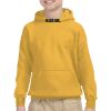 Youth Heavy Blend™ Hooded Sweatshirt Thumbnail