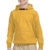 Youth Heavy Blend™ Hooded Sweatshirt Thumbnail