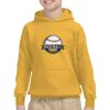 Youth Heavy Blend™ Hooded Sweatshirt Thumbnail