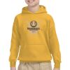 Youth Heavy Blend™ Hooded Sweatshirt Thumbnail