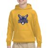 Youth Heavy Blend™ Hooded Sweatshirt Thumbnail