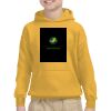 Youth Heavy Blend™ Hooded Sweatshirt Thumbnail