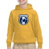 Youth Heavy Blend™ Hooded Sweatshirt Thumbnail