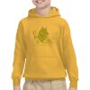 Youth Heavy Blend™ Hooded Sweatshirt Thumbnail