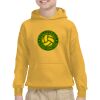 Youth Heavy Blend™ Hooded Sweatshirt Thumbnail