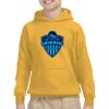 Youth Heavy Blend™ Hooded Sweatshirt Thumbnail