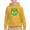 Youth Heavy Blend™ Hooded Sweatshirt Thumbnail
