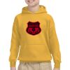 Youth Heavy Blend™ Hooded Sweatshirt Thumbnail