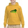 Youth Heavy Blend™ Hooded Sweatshirt Thumbnail