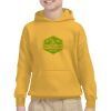 Youth Heavy Blend™ Hooded Sweatshirt Thumbnail