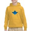 Youth Heavy Blend™ Hooded Sweatshirt Thumbnail
