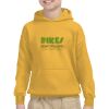 Youth Heavy Blend™ Hooded Sweatshirt Thumbnail