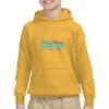 Youth Heavy Blend™ Hooded Sweatshirt Thumbnail