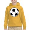 Youth Heavy Blend™ Hooded Sweatshirt Thumbnail