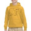 Youth Heavy Blend™ Hooded Sweatshirt Thumbnail