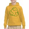 Youth Heavy Blend™ Hooded Sweatshirt Thumbnail