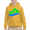 Youth Heavy Blend™ Hooded Sweatshirt Thumbnail