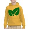 Youth Heavy Blend™ Hooded Sweatshirt Thumbnail
